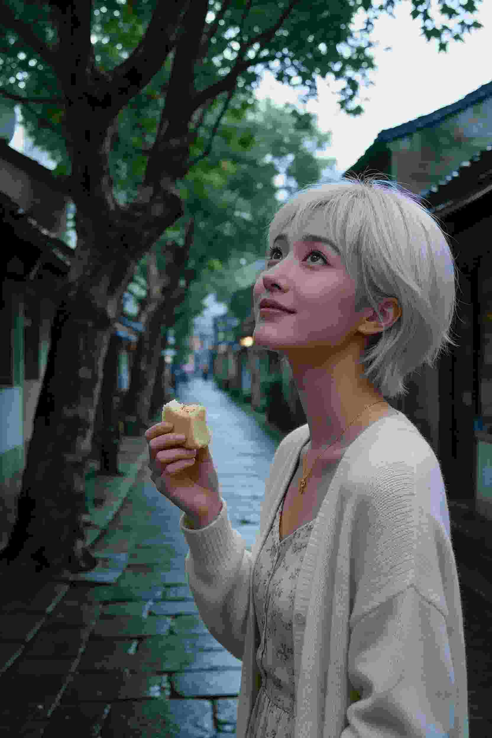 动画作品